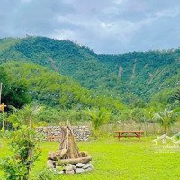 Siêu Phẩm Trong Tầm Giá Homestay 2000M2 Chỉ 2.2 Tỷ