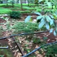 Bán lô đất vườn tại xã nhân nghĩa huyện Cẩm Mỹ tỉnh đồng nai