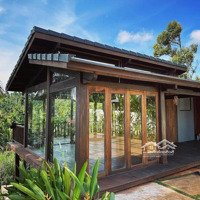 Bán Villa Nhà Vườn View Đẹp Hoà Thắng - 12X30M Giá Bán 2Ty5