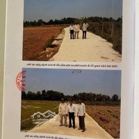 Đất Lúa Ấp Phước Tú, Xã Thanh Phú, Huyện Bến Lức, Tỉnh Long An