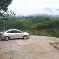 Bán Khu Nghỉ Dưỡng Tại Lâm Đồng, View Đồi - Săn Mây Giá Rẻ