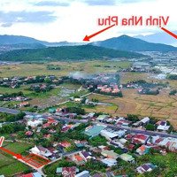 Chính Chủ Bán Cụm 4 Lô Đất Full Thổ Cư Thôn Thuận Mỹ, Ninh Quang Cách Ql1A 130M