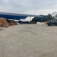 Chính Chủ Chuyển Nhượng 5.000M2 Đất Công Nghiệp 50 Năm Ngay Tại Quế Võ, Bắc Ninh