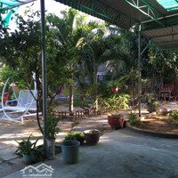 Homestay15-30M2 Nội Thất Đầy Đủ