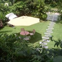 Bán Gấp 225M2 Đất Lô Góc Dự Án Paradise Đại Lải, Sổ Đỏ Sẵn Sàng Công Chứng Luôn