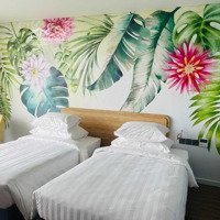 Bán Căn Hộ Khách Sạn( Condotel) Flamingo Ibiza Hải Tiến