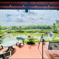 View Nghỉ Dưỡng Siêu Đẹp 3.269M2 Tại Xã Bình Giã, Huyện Châu Đức, Bán Gấp Chỉ 2.5 Tỷ - 0909 124 402