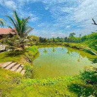 View Nghỉ Dưỡng Siêu Đẹp 3.269M2 Tại Xã Bình Giã, Huyện Châu Đức, Bán Gấp Chỉ 2.5 Tỷ - 0909 124 402