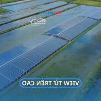 Trang Trại Chăn Nuôi Gà Thịt 23000M2 Tại An Minh, Tỉnh Kiên Giang