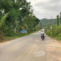 9Ha Sầu Riêng Có 300M2 Thổ Cư Mặt Tiền Đường Nhựa Tại Tân Phú,Đồng Nai