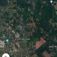 Chủ Gửi Bán Trang Trại - Nghỉ Dưỡng Gần 10Ha Đất Tại Lộc Ninh, Bình Phước - Giá Đầu Tư Chỉ 4,5Tỷ