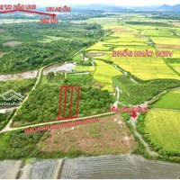 Đất Lên Thổ Được, Ngay Cạnh Hồ Sen Và Hồ Ea Hu - View Ruộng - Suối Nước Chảy Sát Bên Chỉ Từ 139 Triệu