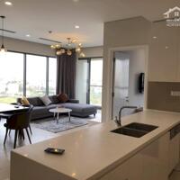 Căn hộ Đảo kim cương - Diamond Island cho thuê, căn dtich lơn 117-125m2, 2-3PN giá 33 tr/th