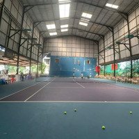 Cho Thuê Sân Tennis 700M2 Đường Bình Quới