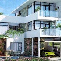 Đất Nền Biển Phan Thiết Sentosa Chỉ 8. 5 Triệu/M2,Diện Tích250M2, Tiềm Năng Sinh Lời Cao