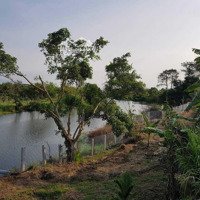Bán Ngộp Đất Vườn Mặt Tiền View Sông Caty Gần Phan Thiết, Giá Chính Chủ