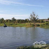 Bán Ngộp Đất Vườn Mặt Tiền View Sông Caty Gần Phan Thiết, Giá Chính Chủ