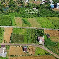 Đất View Toàn Tp. Bảo Lộc, Đường Nguyễn An Ninh, 615M2 Giá Bán 3,9 Tỷ
