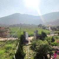 Căn Nhà Đang Kinh Doanh Homestay Và Cafe Vùng Ven Đà Lạt