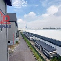 Cho Thuê Xưởng Tại An Phước-Long Thành 5000M2 Đến 10.000M2, Giá 4$/M2