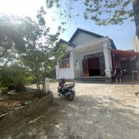 Cho Thuê Nhà Vườn Ao Hồ 1000M2 Phường Trảng Dài, Thành Phố Biên Hoà