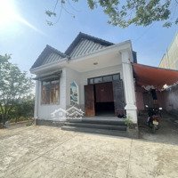 Cho Thuê Nhà Vườn Ao Hồ 1000M2 Phường Trảng Dài, Thành Phố Biên Hoà