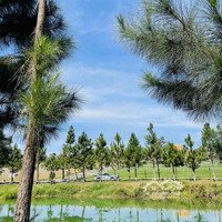 Cận Tết Kẹt Tiền Cần Bán Gấp Lô Đất Hàng Ngộp Ở Lộc Tân Bảo Lộc