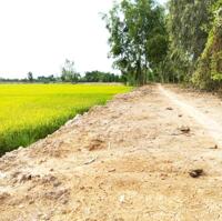 Đất ruộng mặt tiền 31m xã Hưng Thạnh huyện Tháp Mười tỉnh Đồng Tháp, cách đường DT844 1km