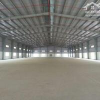 Cho thuê 1000m2 kho nhà xưởng tại KCN Hòa Nhơn giá thuê 40tr