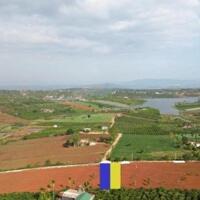 Bán 1000m2 đất tại xã Phúc Thọ, Huyện Lâm Hà, Lâm Đồng
