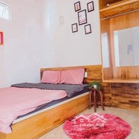 Cho Thuê Homestay 11 Pn Phường 6 Đà Lạt