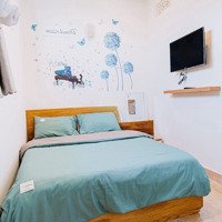 Cho Thuê Homestay 11 Pn Phường 6 Đà Lạt