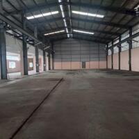 Cho thuê kho 1720m2 và 2800m2 KCN Cát Lái, Phường Cát Lái, Quận 2