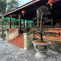 Nhà Vườn 2100M2 Làm Từ Gỗ Quý Khu Du Lịch Cầu Ngang Hưng Định Thuận An