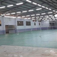 Tổ Hợp 11 Sân Cầu Lông - 10 Chdv - 800M2 Đang Để Trống Giá 150 Triệu