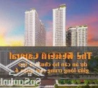 Căn Hộ 67M2 2 Phòng Ngủ 2 Vệ Sinhq.6