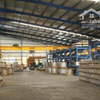 Cho thuê kho xưởng 5000m2 đến 40000m2 xây dựng theo yêu cầu, KCN Nhơn Trạch 2,Đồng Nai TT Hiệp Phước, Huyện Nhơn Trạch, Đồng Nai