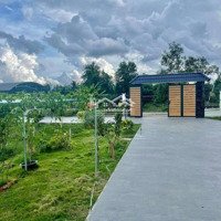 Nhà Vườn 2.500M2 Có 369M2 Thổ Cư Cách Tỉnh Lộ 400M