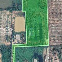 Cần Bán 14.000M2 Đất