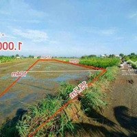 1.000M2 (Có 240M2 Thổ Cư) Cách Nhựa 100M