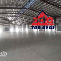 Cho Thuê Xưởng Sản Xuất 12.600M2 Thạnh Phú, Vĩnh Cửu Giá Tốt