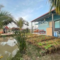Nhà Vườn 10X30- 2Pn- Ngay Thị Xã Gò Công