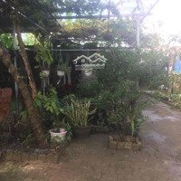 Cho Thuê Quán Cafe Sân Vườn