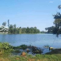 Cần Bán Lô Đất Vườn View Sông Phú Bình ,Tam Xuân 1 Cạnh Tam Kỳ