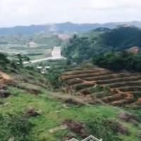 3,08Ha Ở Khu Vực Lâm Đồng Gần Ngay Cầu Đạ Quay Mình Còn 2 Miếng Nữa