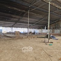 Cho Thuê Kho (600M2-45K/M2) Tại Đg Tam Bình, P.hbc,Thủ Đức – Chợ Hb