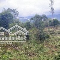 Chính Chủ Bán 13000M2 Có 300M2 Ont View Sông Hòa Bắc