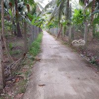 Mảnh Vườn Dừa Có Thổ Cư Đường Xe Hơi Phong Nẫm