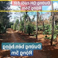 Bán Vườn Sầu Riêng Mắk Ka Cafe Tiêu P. Đoàn Kết Tx Buôn Hồ. 1.26Ha