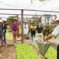 210M Đất Ở Hoàn Toàn,Khu Du Lịch Làng Rau Trà Quế,Hội An